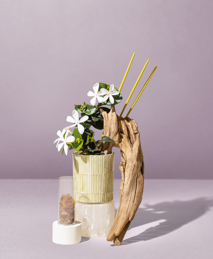 sandalwood incense & exotic amber™ fragrance oil